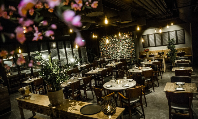 «Norges beste kinarestaurant»: - Mmm. Spenstig!